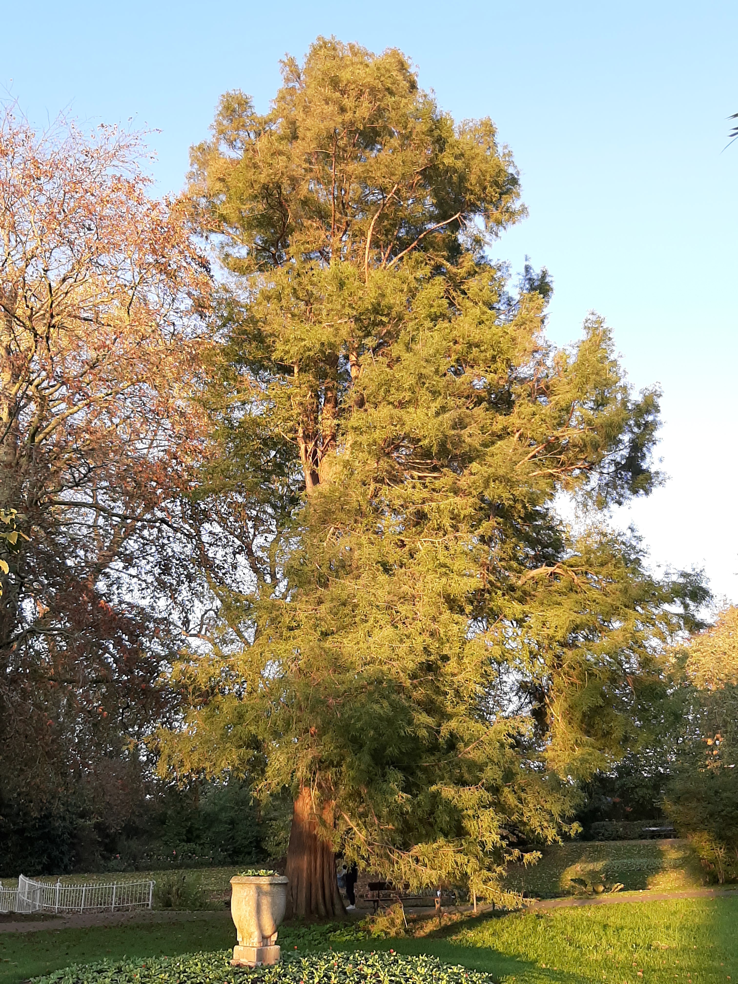 Detail image , , , , 