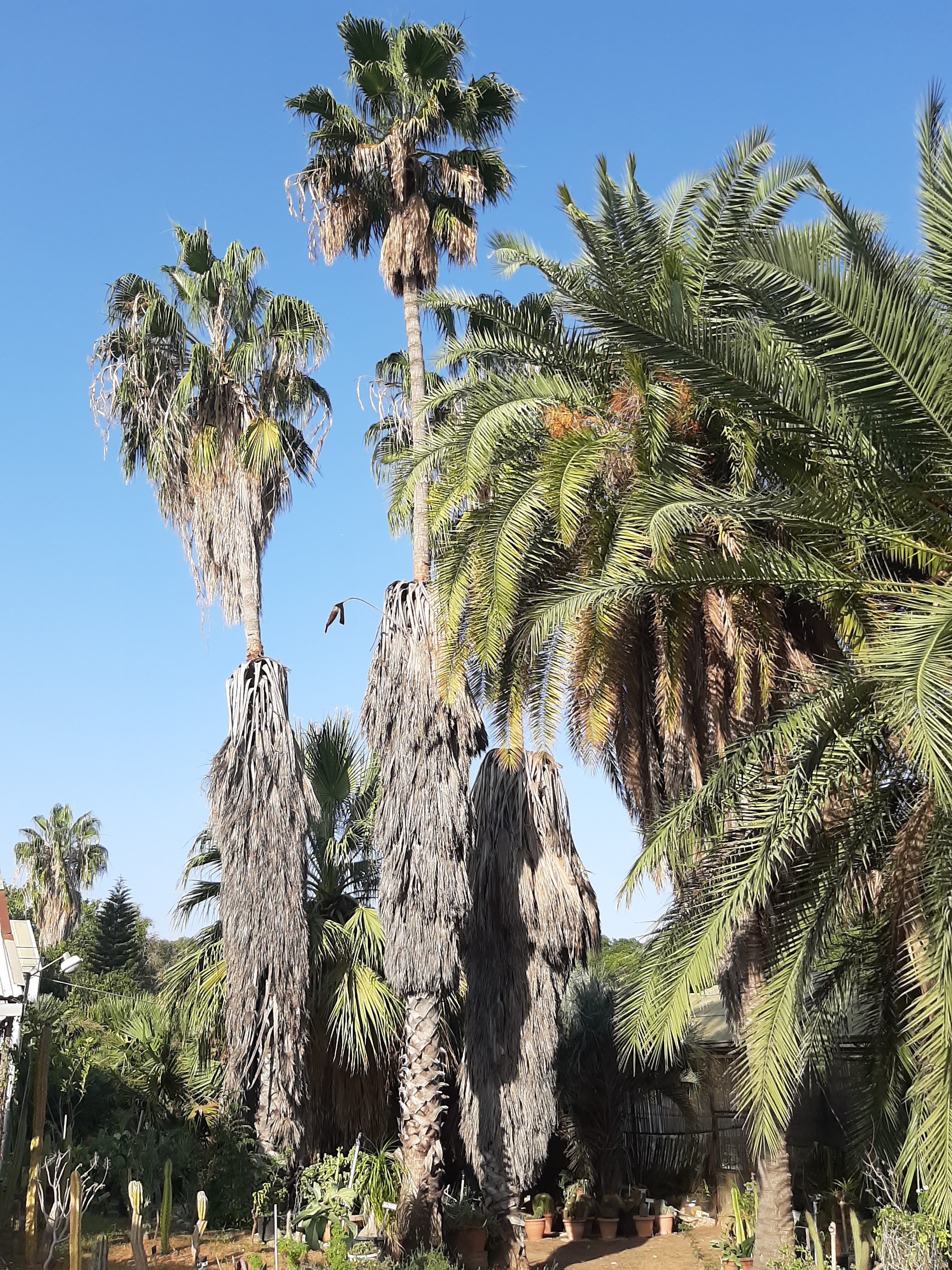 Detail image , , , , 