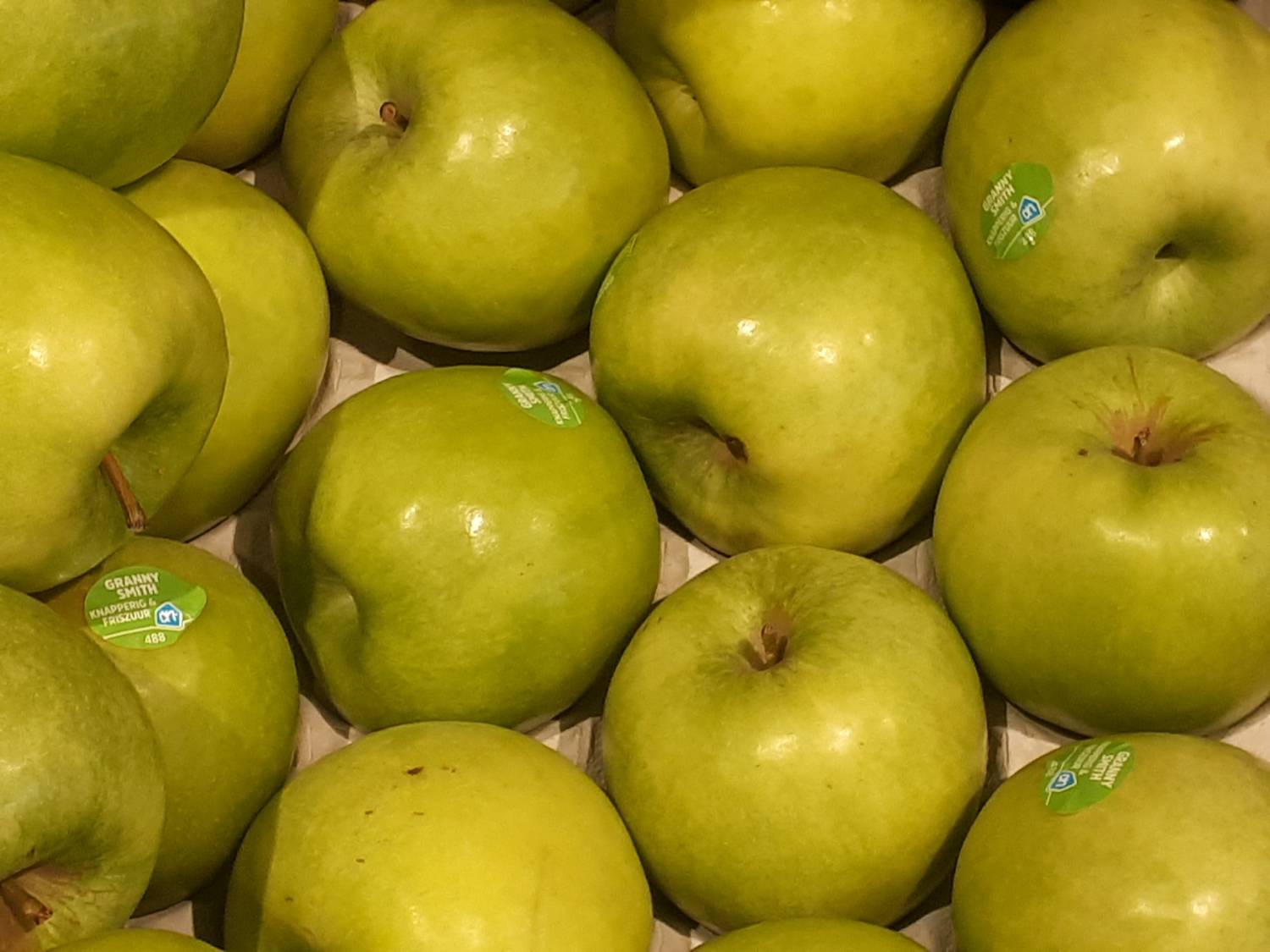 Malus domestica - Orchard Apple