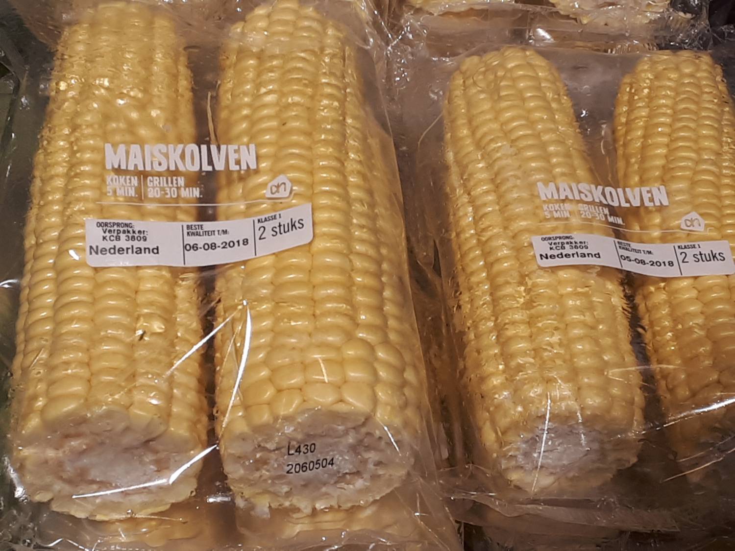 Zea mays - Maize
