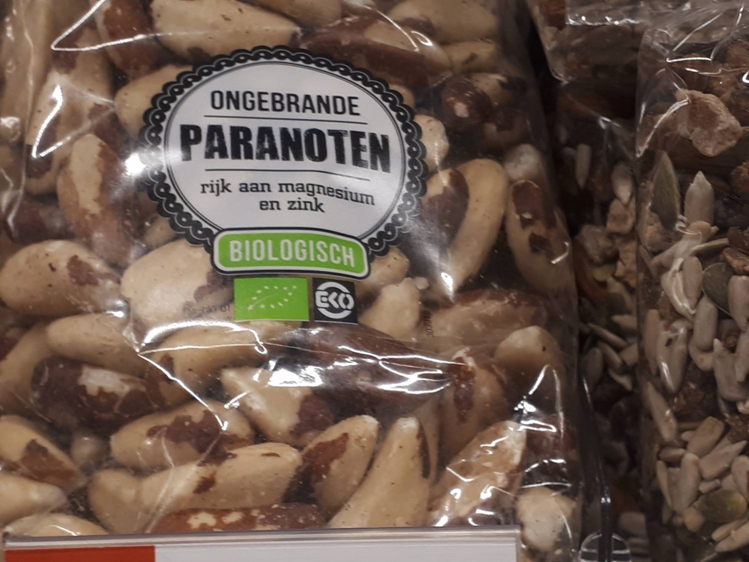 Bertholletia excelsa - Brazil nut
