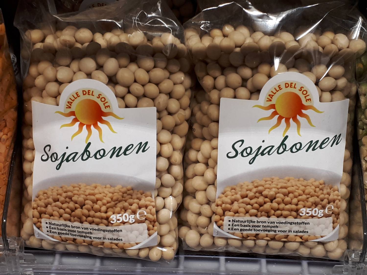 Glycine max - Soya plant