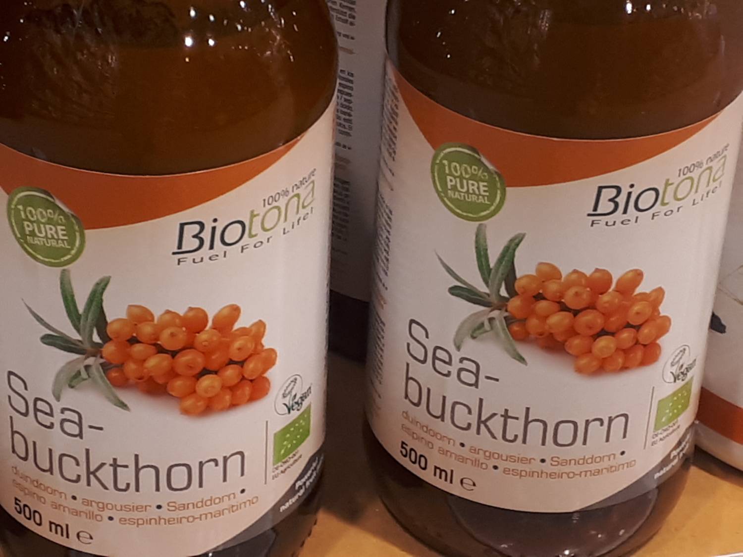 Hippophae rhamnoides - Seabuck-thorn