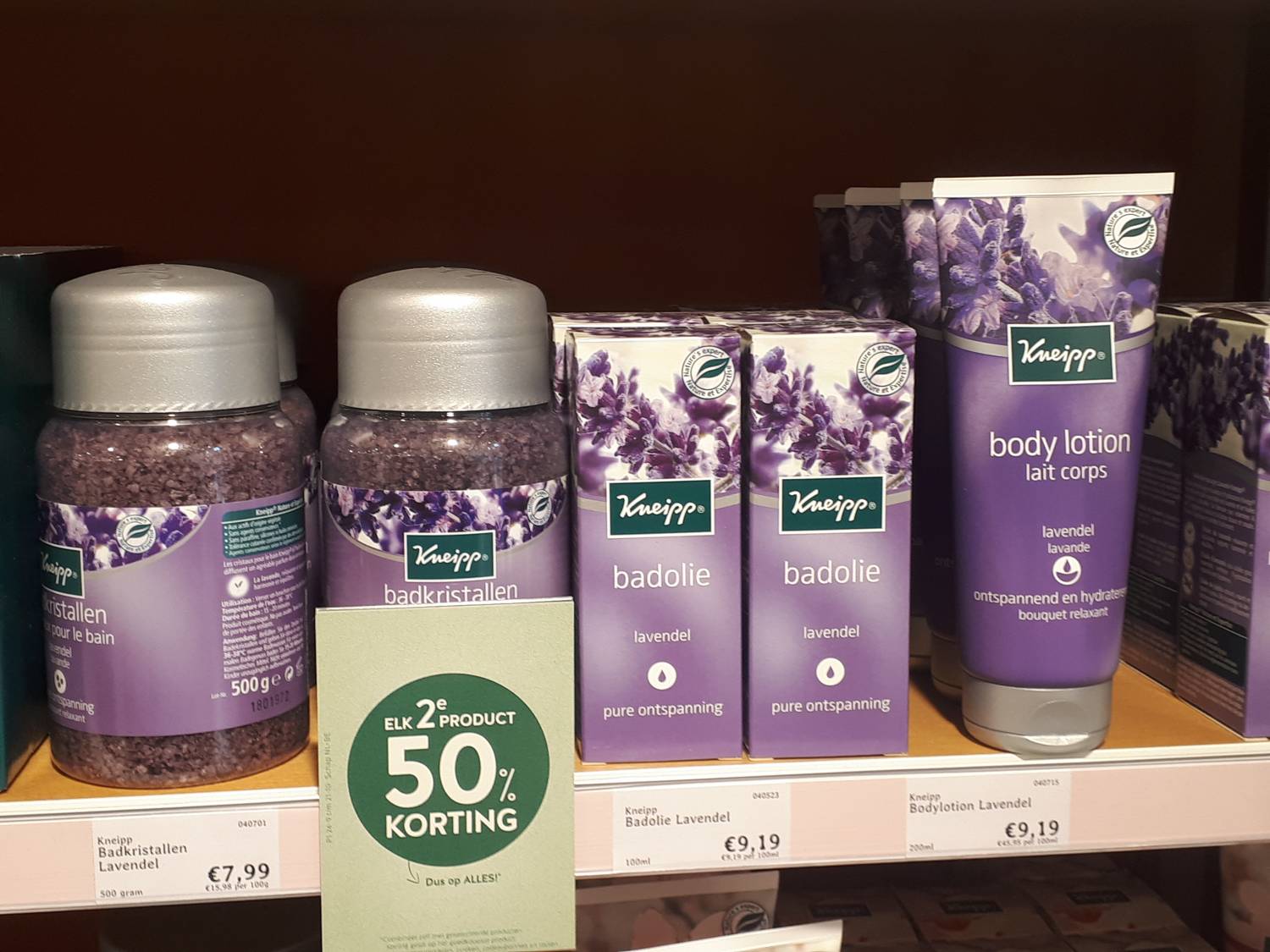 Lavandula angustifolia - Lavender