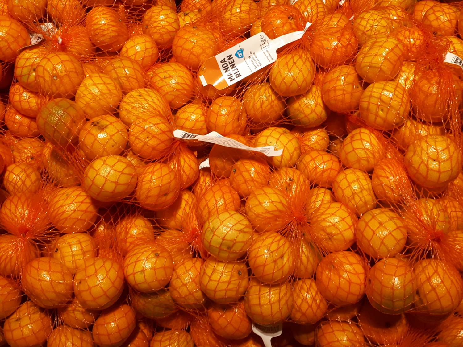 Citrus reticulata - Mandarine