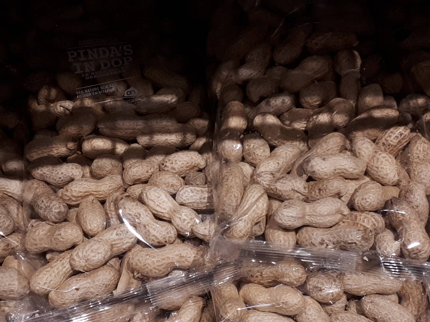 Arachis hypogaea - Peanut