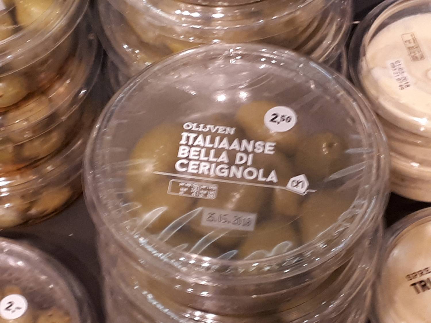 Olea europaea - Olive