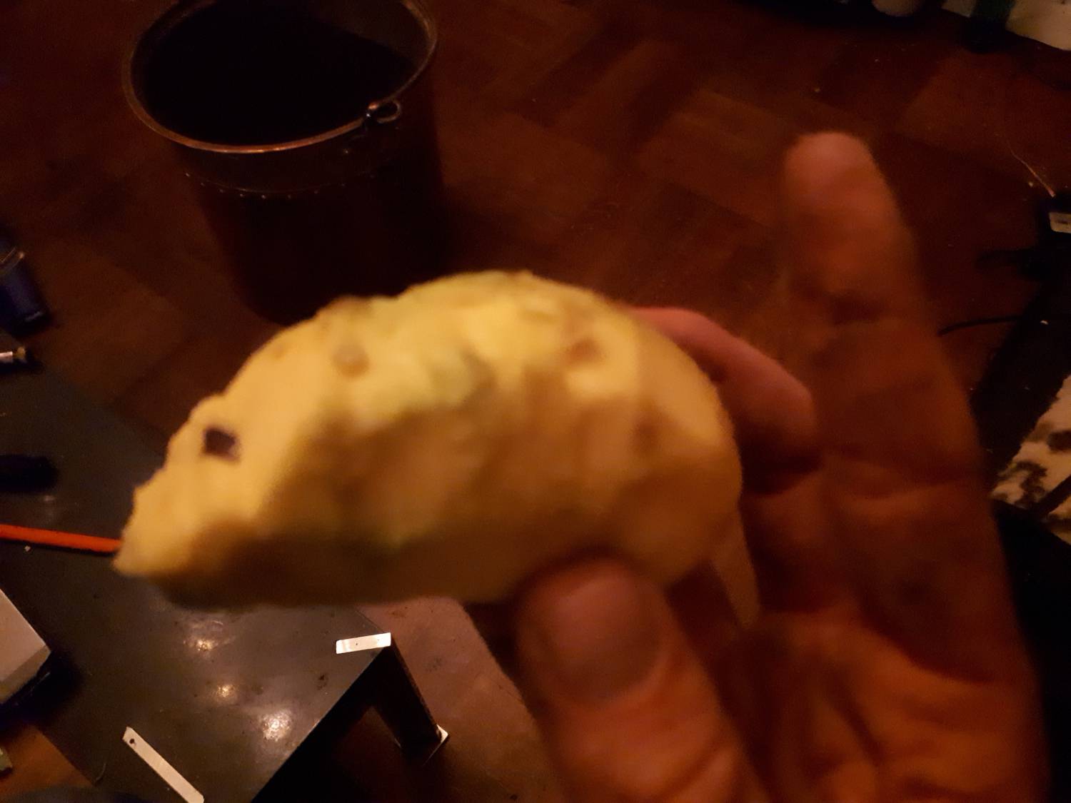 Asimina triloba - Kentucky pawpaw