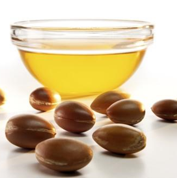 Argania spinosa - Argan