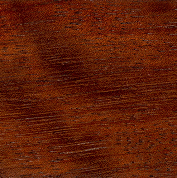 Milicia excelsa - Iroko