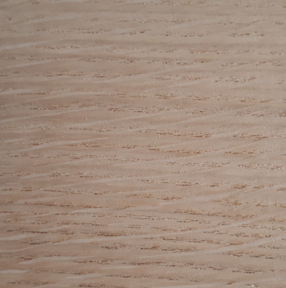 Quercus robur - Pedunculate oak