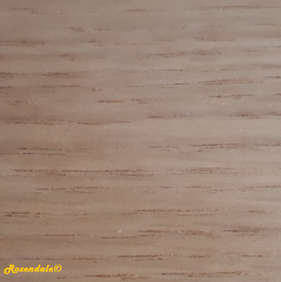 Quercus rubra - Champion oak