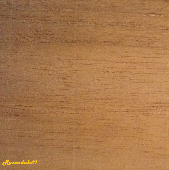 Tectona grandis - Teak