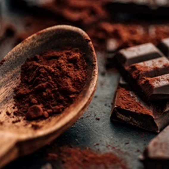 Theobroma cocoa - Cocoa tree