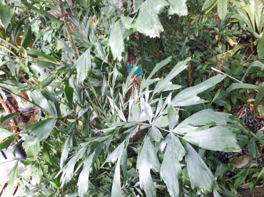 Detail Photo