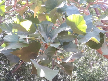 Detail Photo