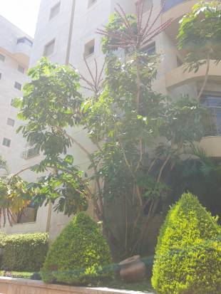 - Unknown species- - - Unknown -