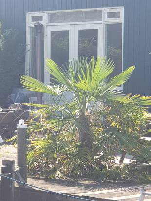 - Unknown species- - - Unknown -