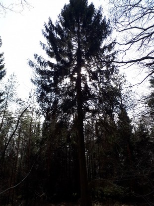 Vertical Photo
