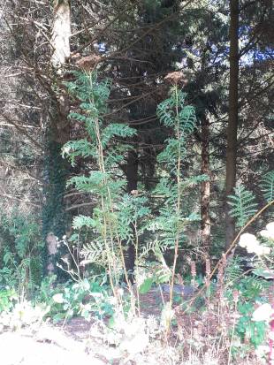 Vertical Photo
