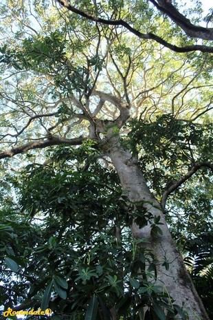 Vertical Photo