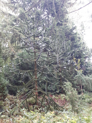 Vertical Photo