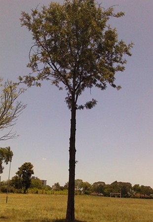 Vertical Photo