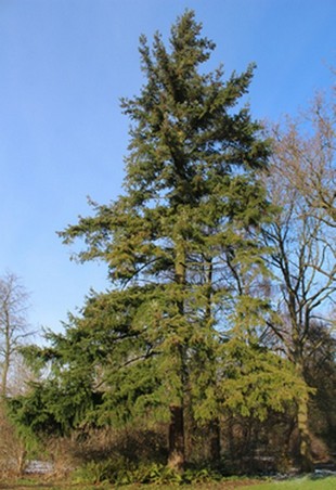 Vertical Photo