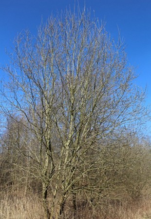 Vertical Photo