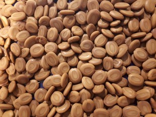 Seeds Photo