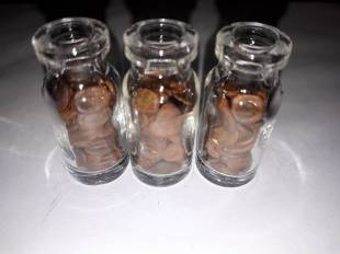 Seeds Photo