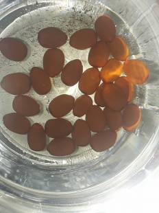 - Unknown species- - - Unknown -