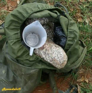 Seeds Photo