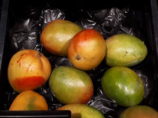 Crops Photo