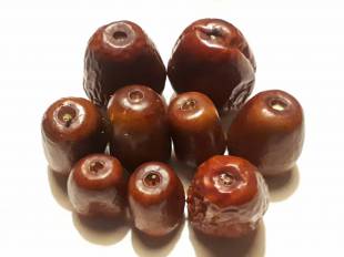 Ziziphus jujuba - Jujube