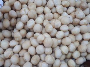 Crops Photo