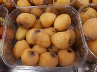 Crops Photo