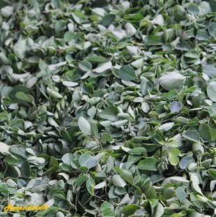 Crops Photo